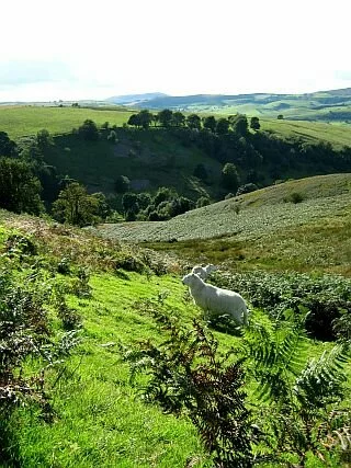 shropshire hills 